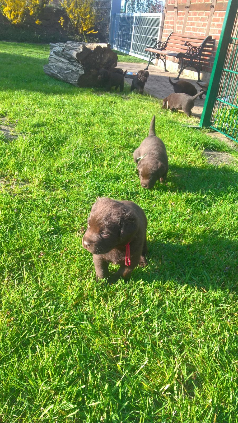  Wie groß ist doch die Welt 