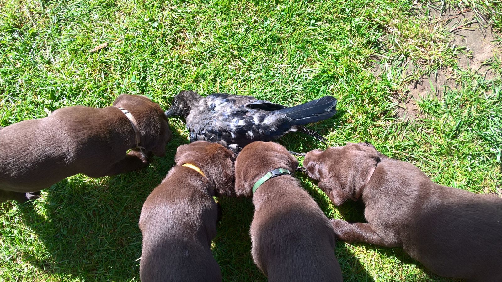  Mit Respekt und nachher nicht genug 