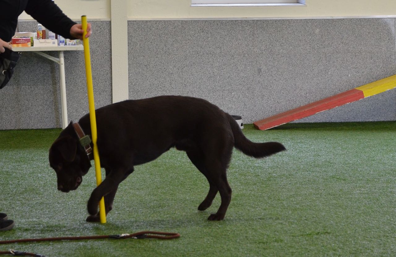  Er hat sichtlich Freude 