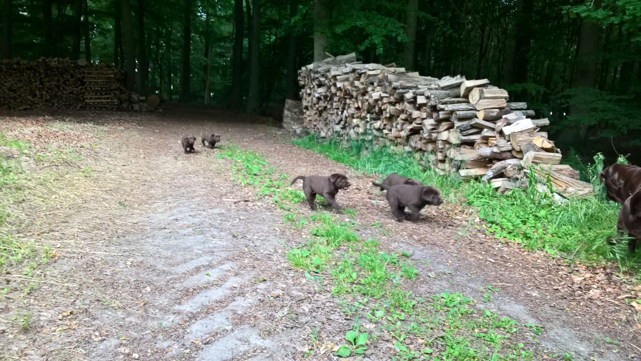  Es gibt viel zu entdecken 