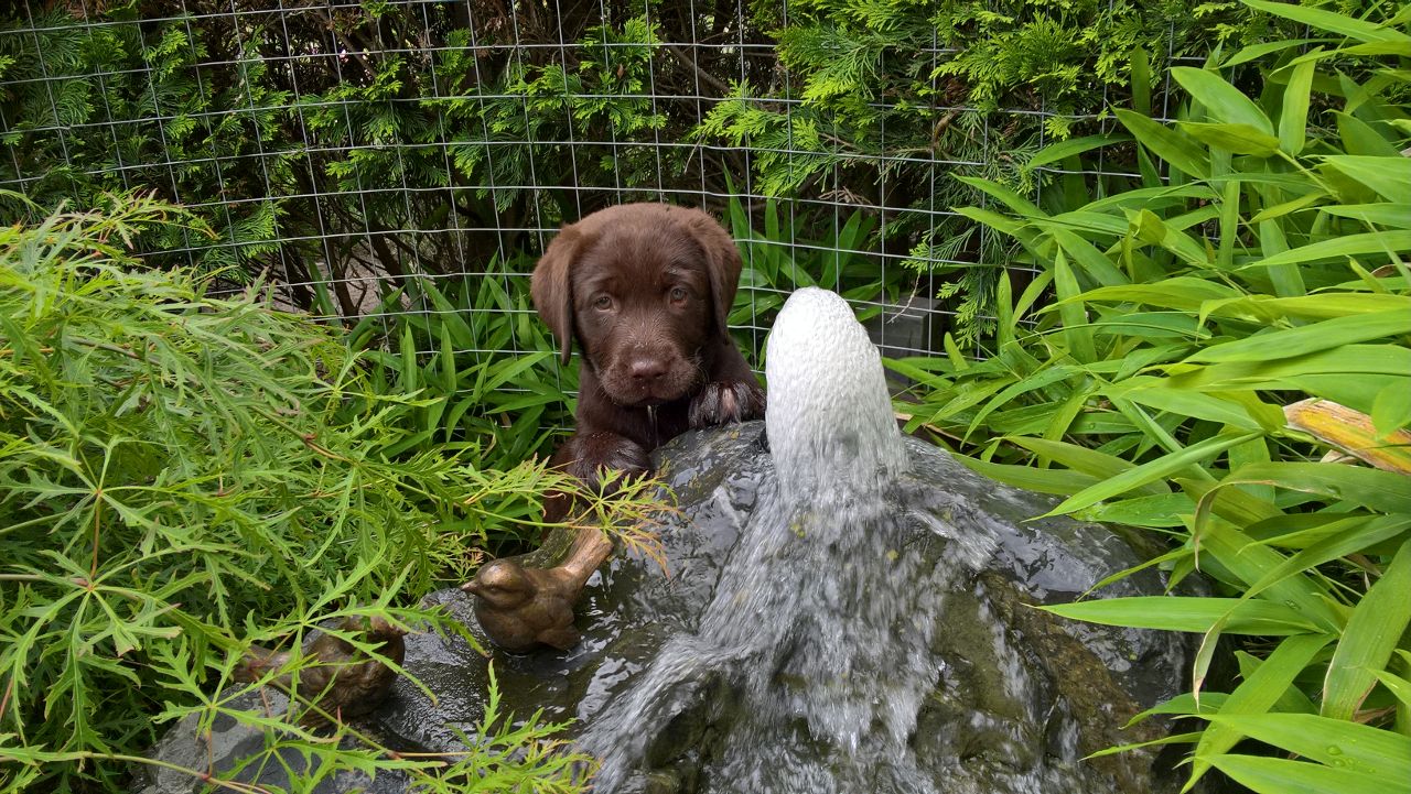  Erkundung am Quellstein 