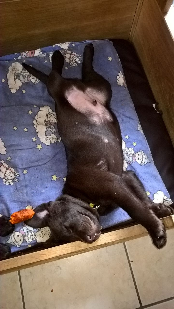  Gewöhnung im Haus. Botox total entspannt 