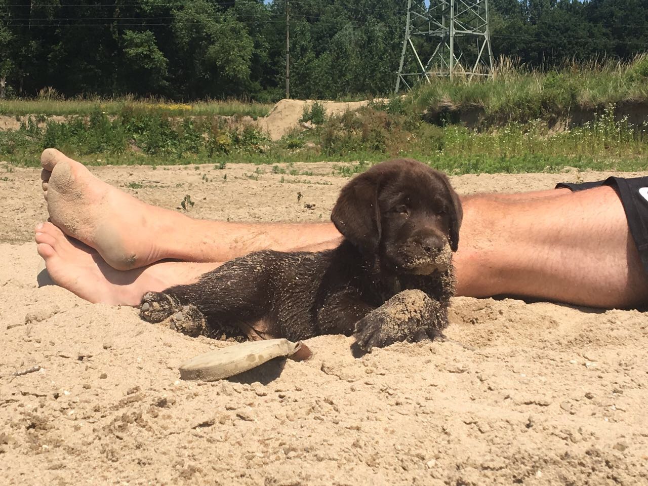  Bruno genießt sein neues Zuhause in vollen Zügen 