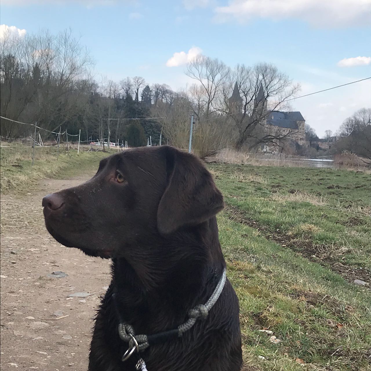  Bella wünscht frohe Ostern 