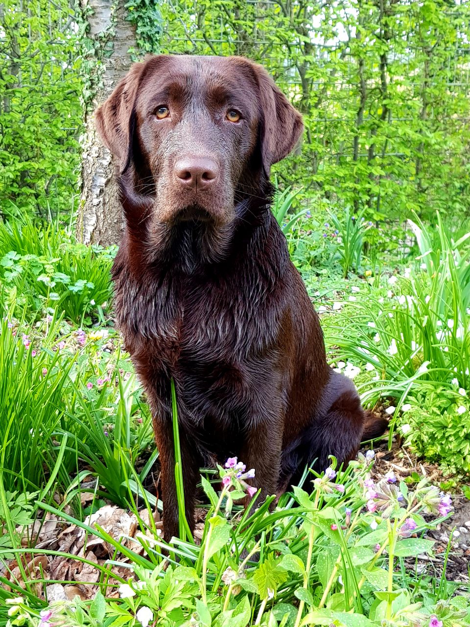  Bonnie's 1. Geburtstag 