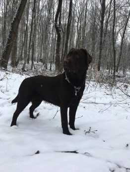  Bella genießst den Schnee 