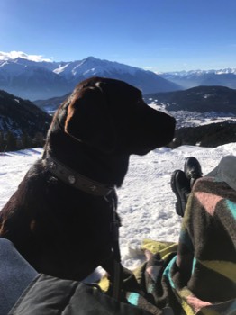  Bella genießt den Schnee in Österreich 