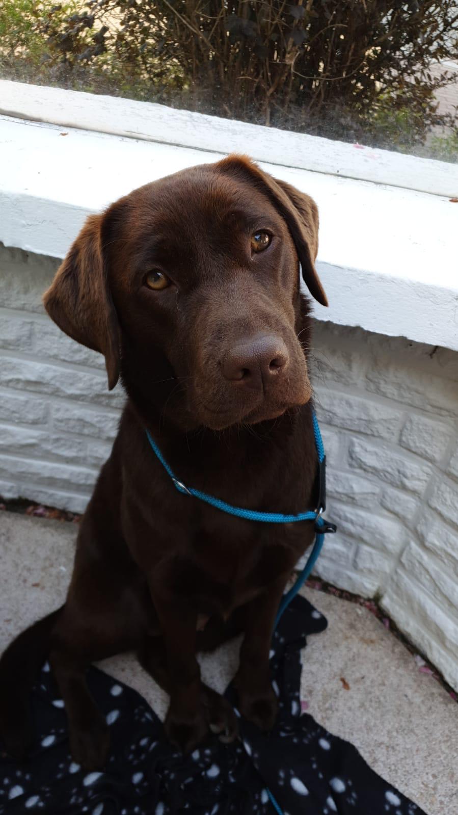  Donna grüßt aus Italien 